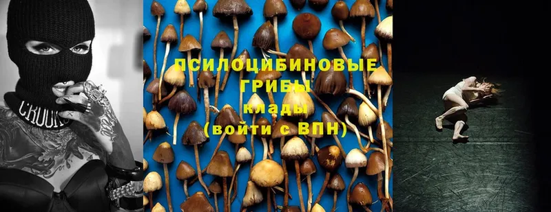 Псилоцибиновые грибы MAGIC MUSHROOMS  Опочка 